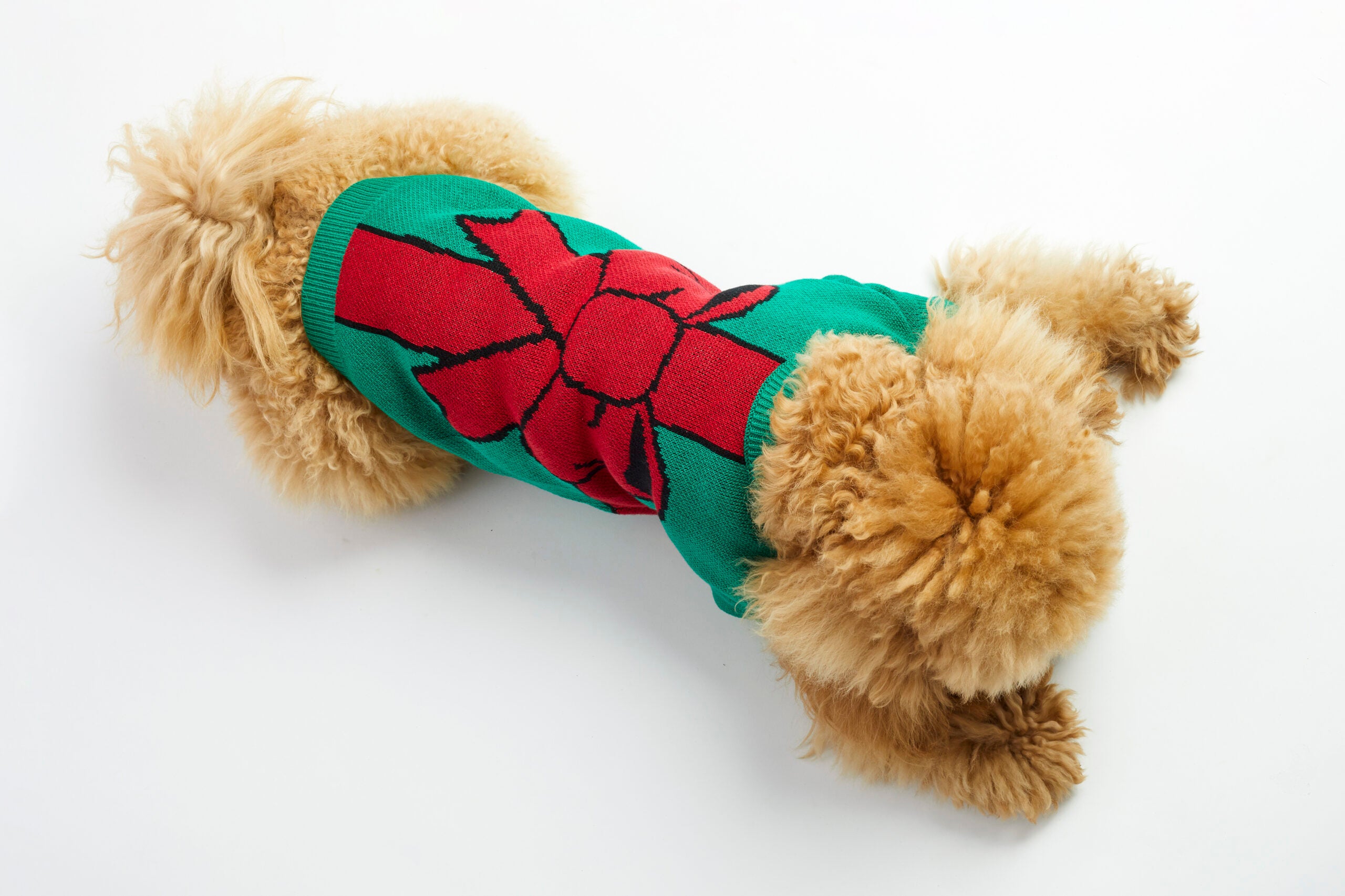 Świąteczny sweter dla psa Christmas