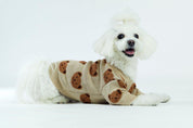 Toffee Teddy Dog Sweater