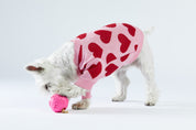 Woofchild sweter dla pieska - różowy