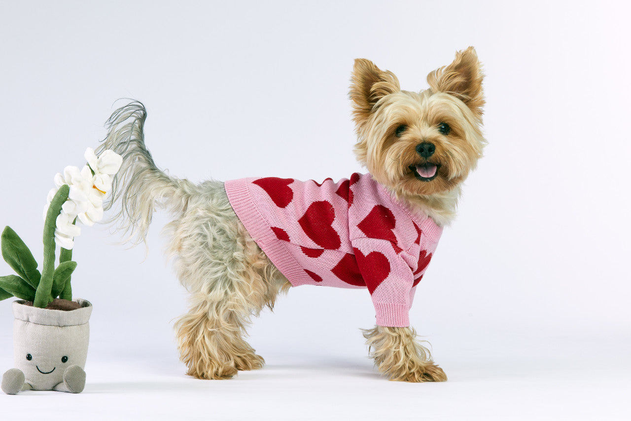 Woofchild sweter dla pieska - różowy
