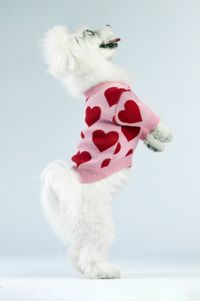 Woofchild sweter dla pieska - różowy
