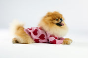 Woofchild sweter dla pieska - różowy