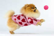 Woofchild sweter dla pieska - różowy