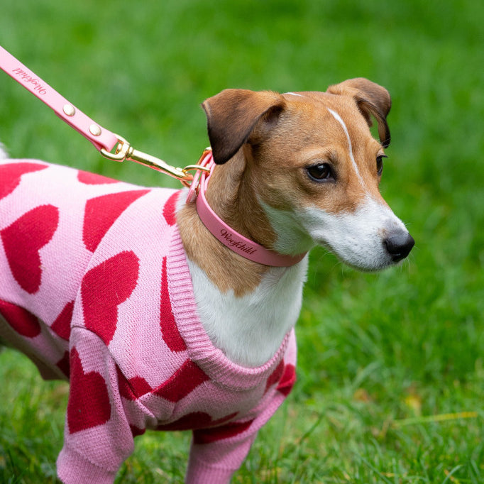 Pink Urban leash lux
