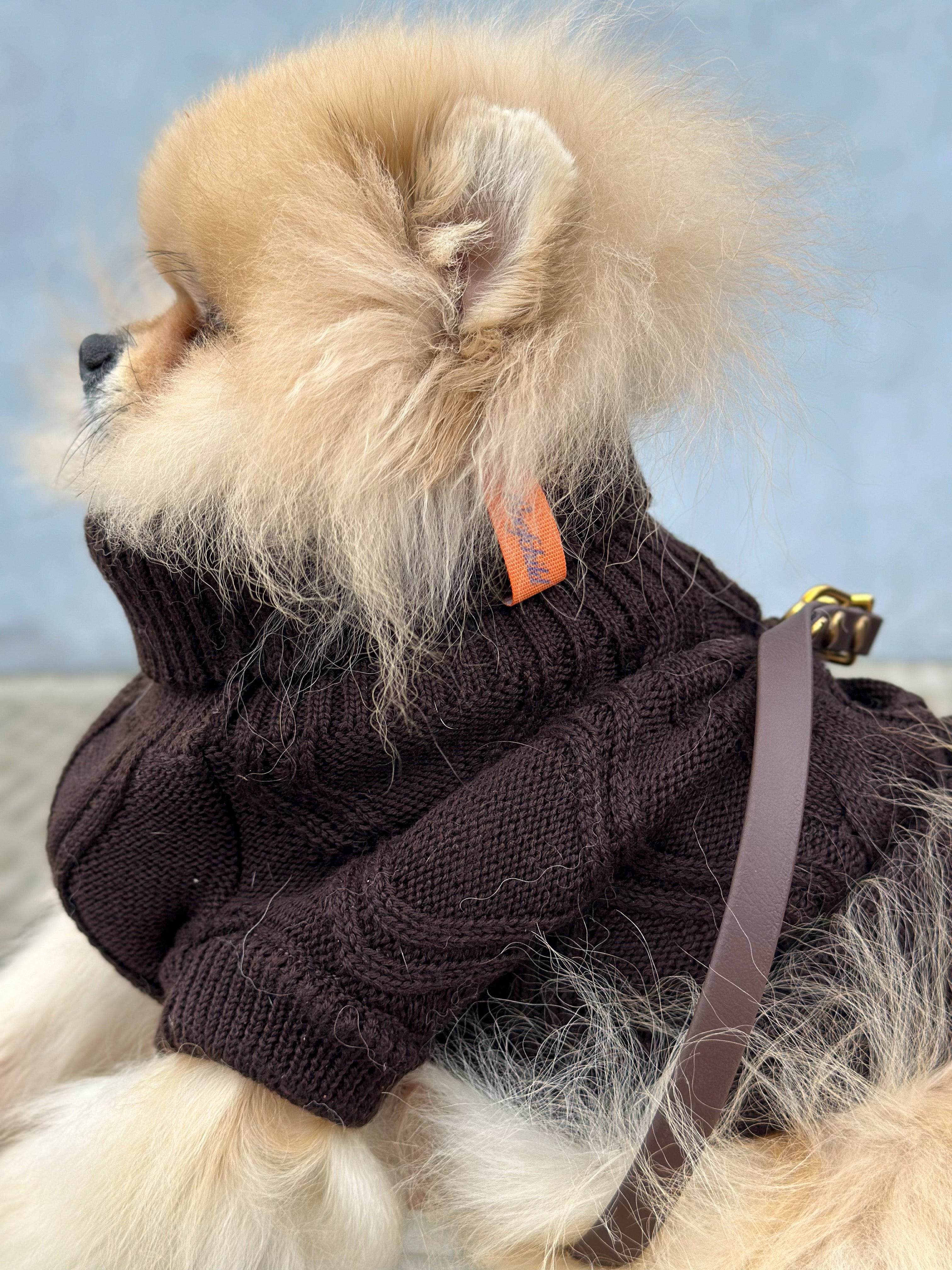 Woofy Chocolate Fondant – woofchild.com