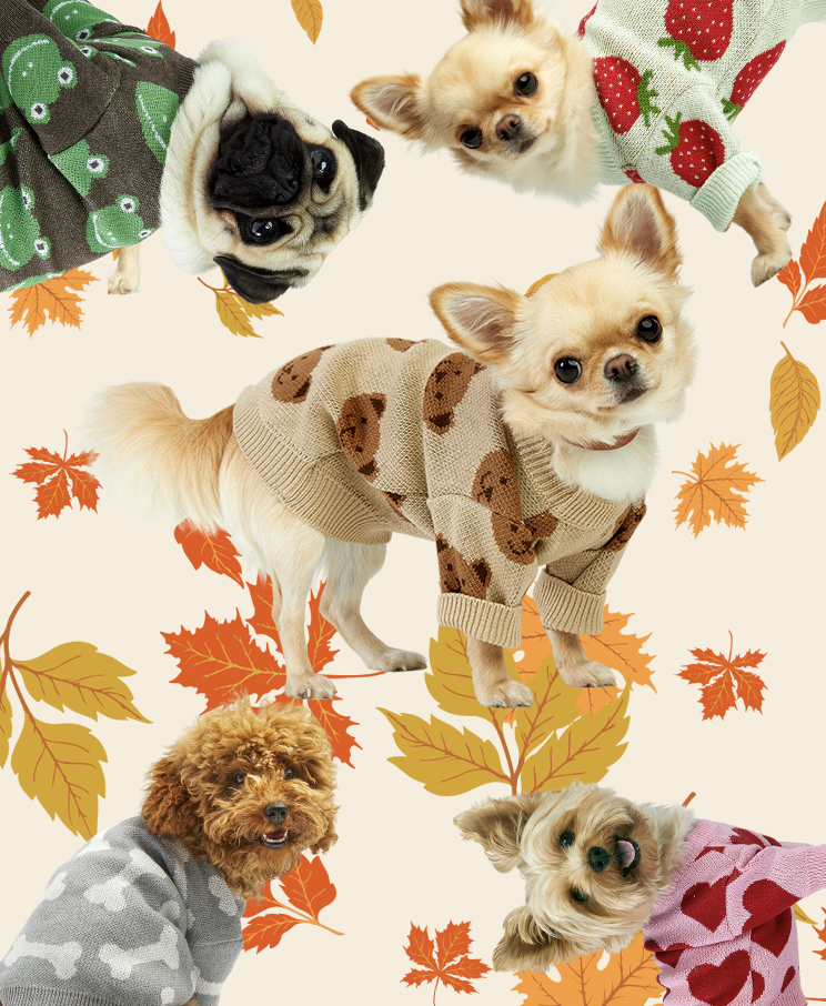 AUTUMN1.png