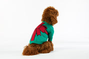 Christmas Dog Sweater