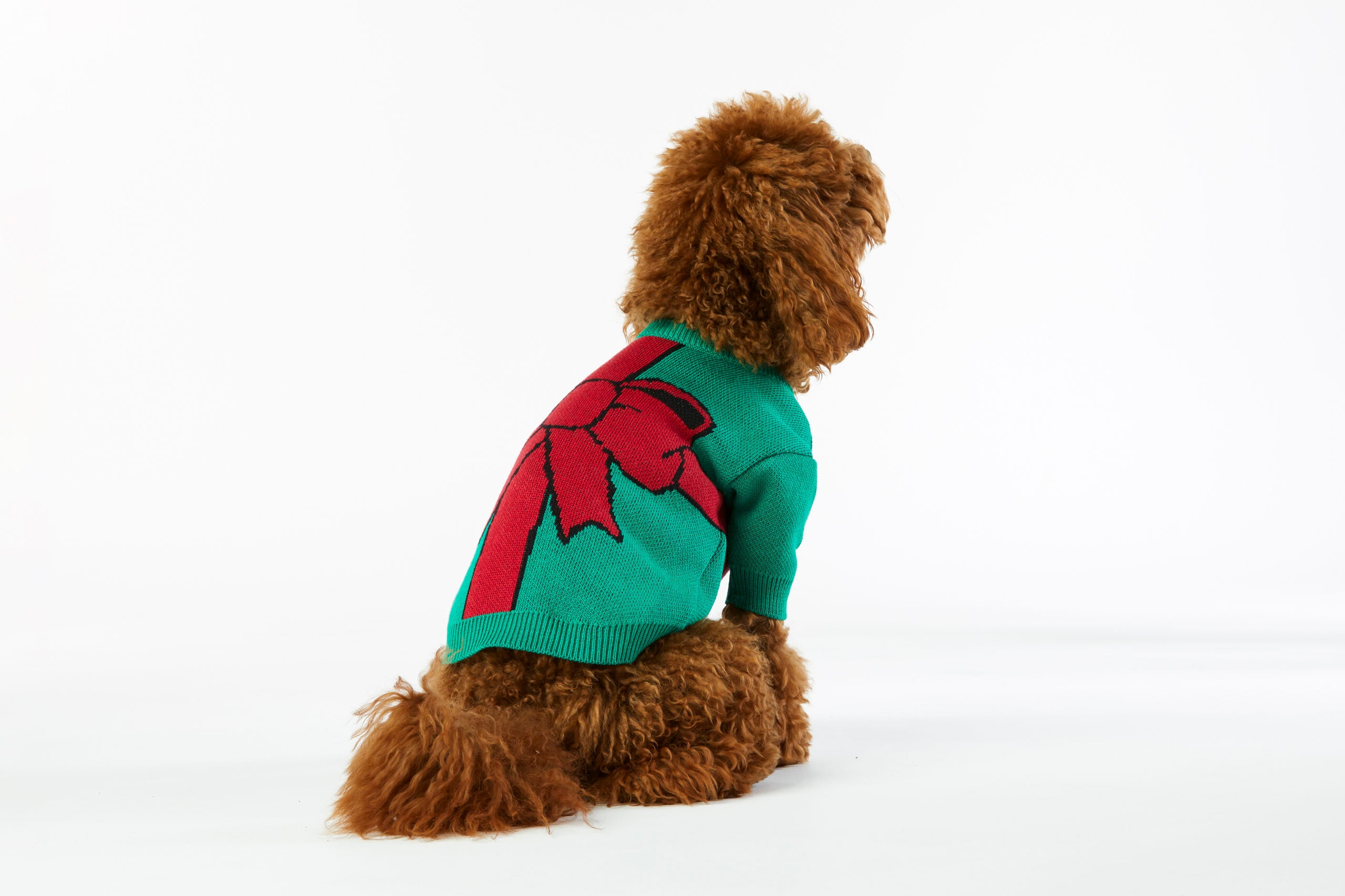 Christmas Dog Sweater