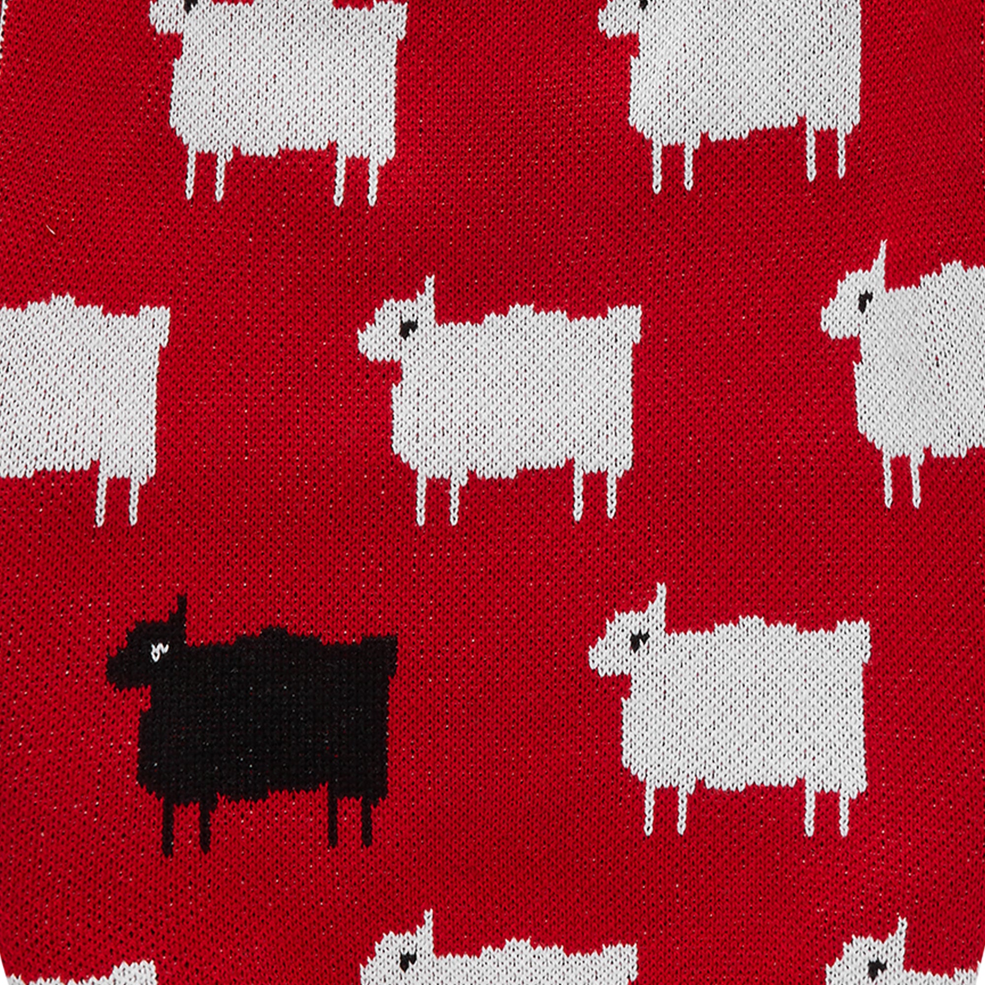 Diana Dog Blanket - Matchy with Your Pup Sweater