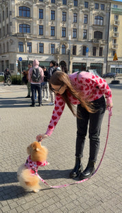 Hearts matchy-matchy Sweater for Human