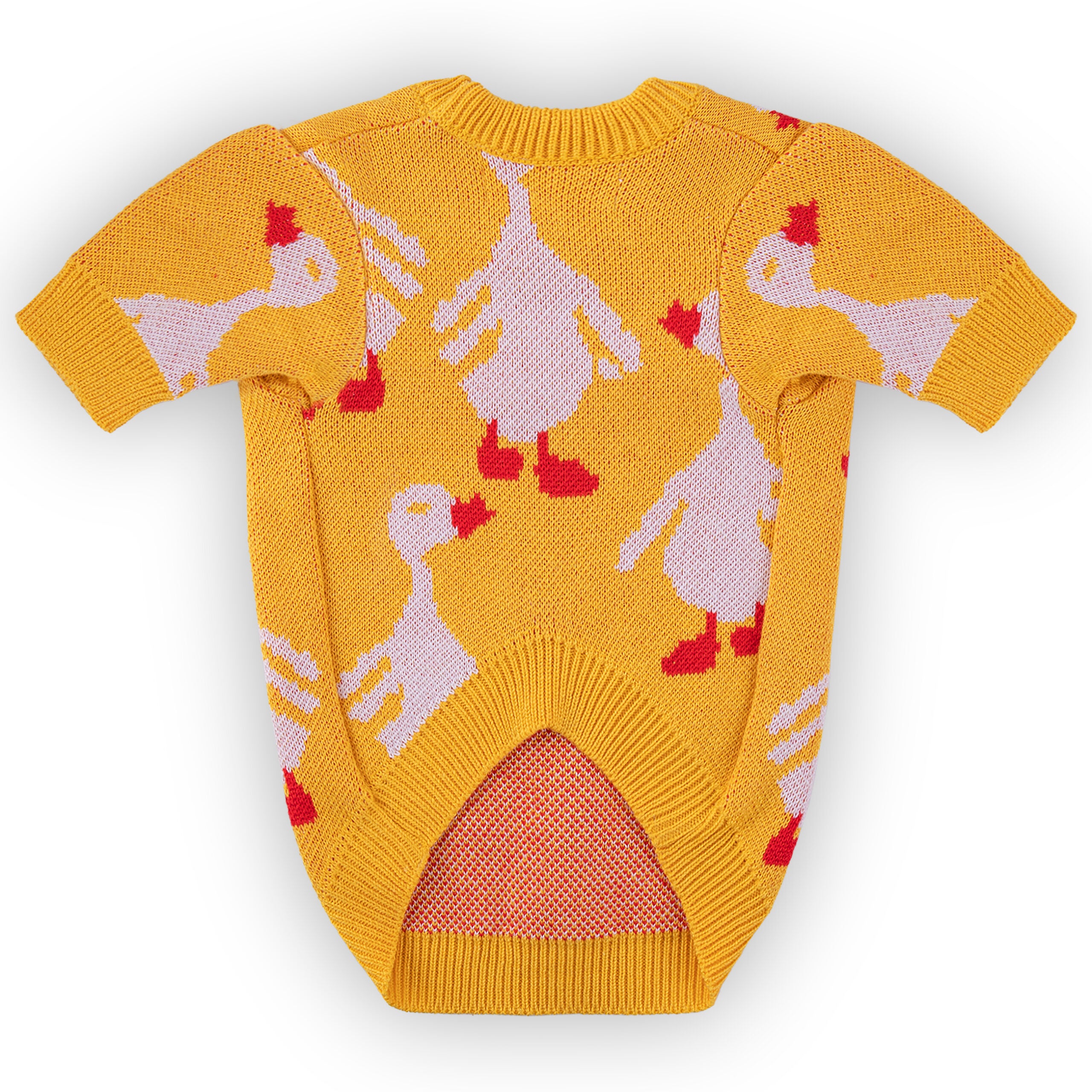 Yellow Goose Dog Sweater