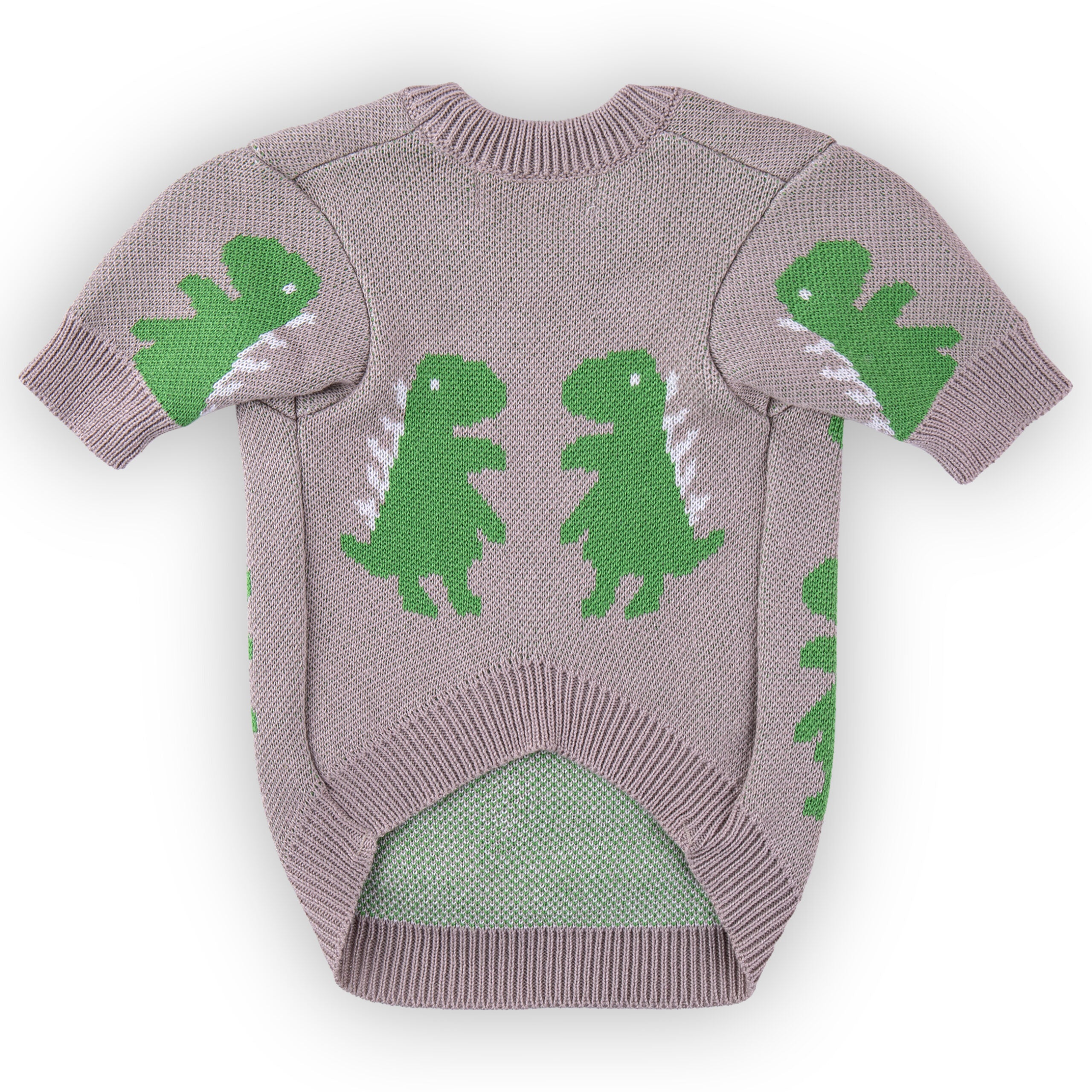 Bone Dino Dog Sweater