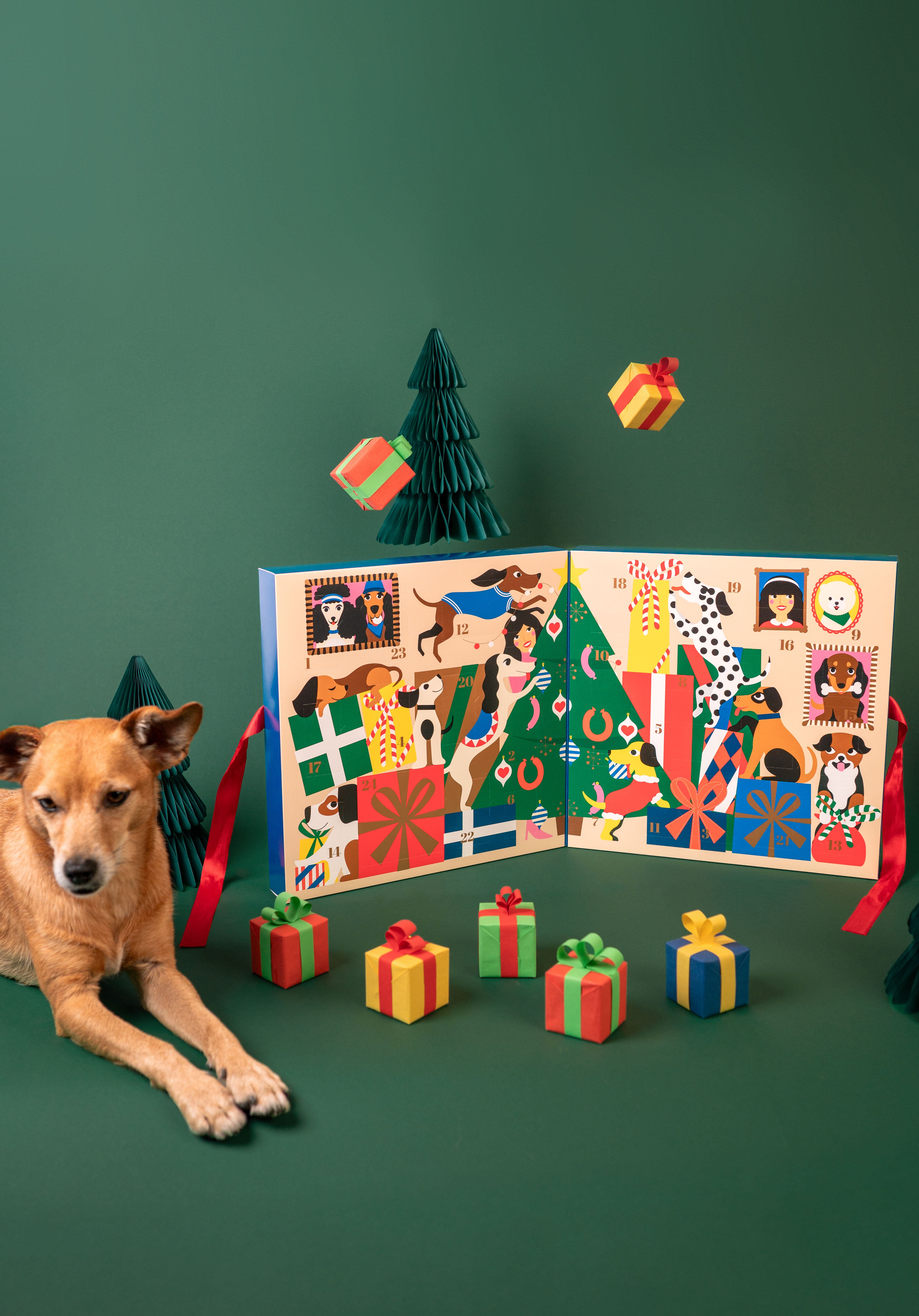 Exclusive Dog Advent Calendar