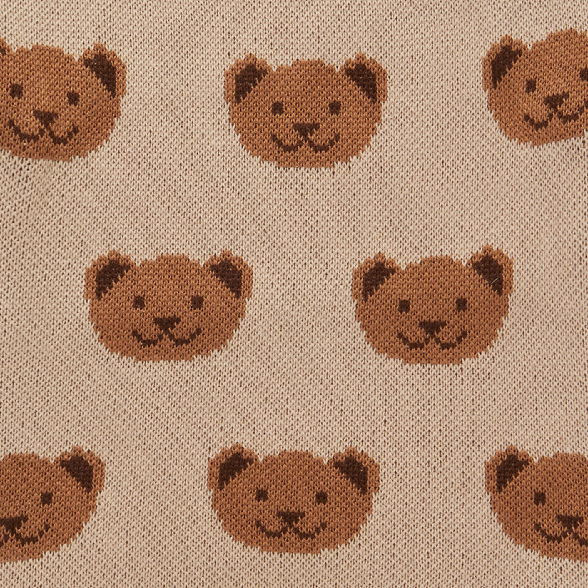 TEDDY_BLANKET.jpg
