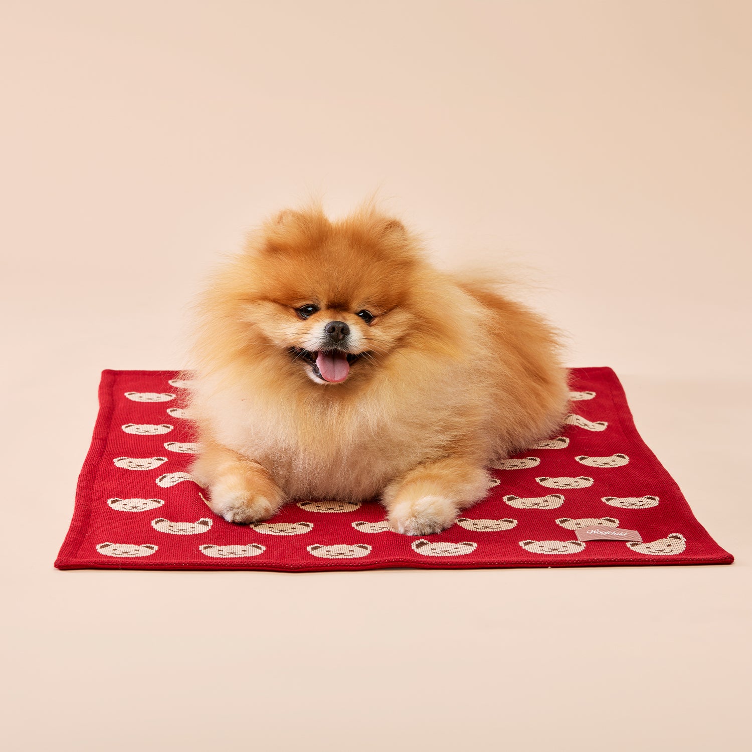 Teddy Burgundy Blanket
