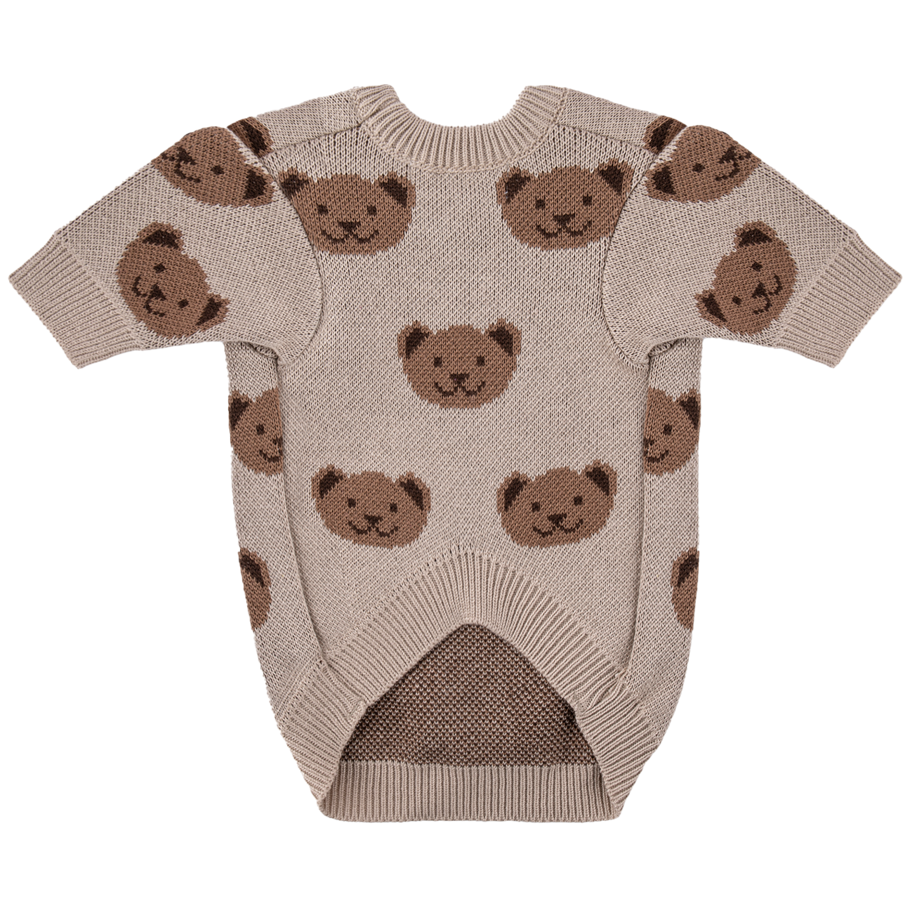 Toffee Teddy Dog Sweater