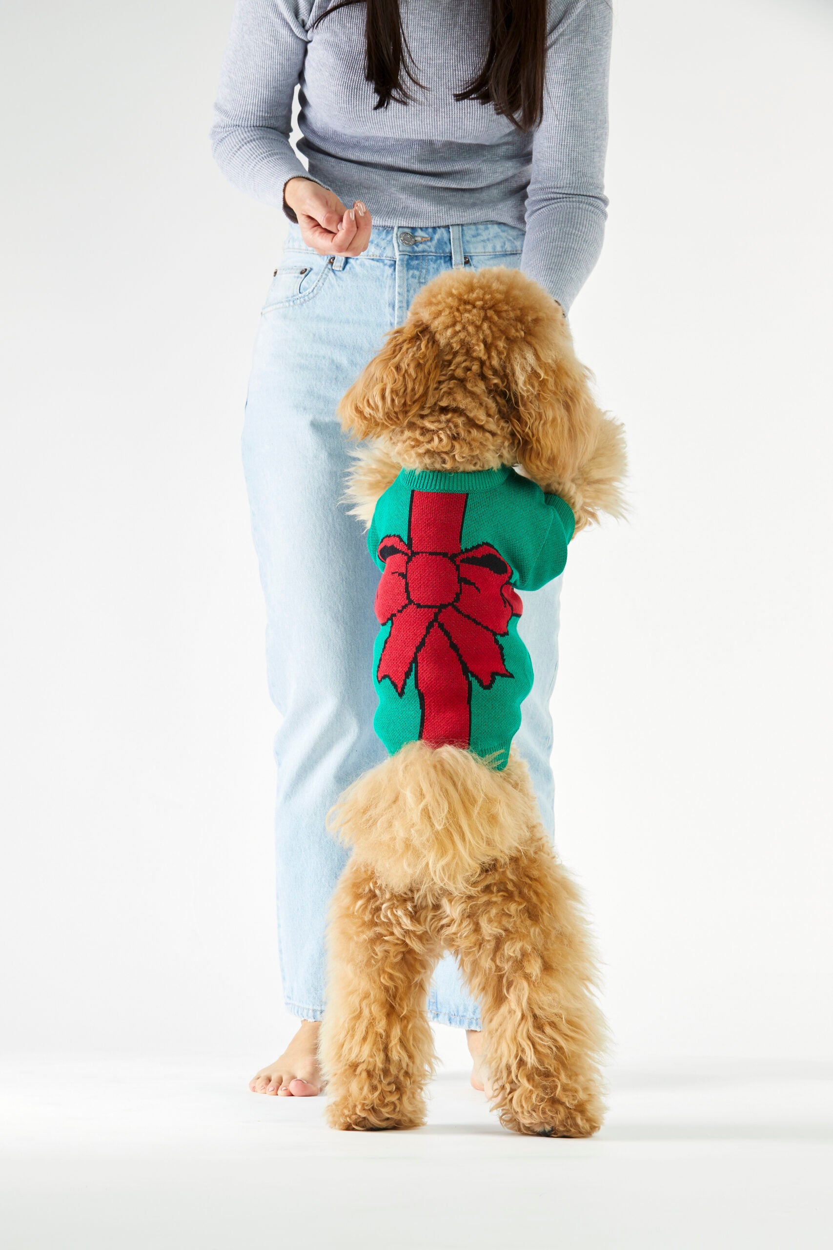 Christmas Dog Sweater