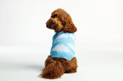 Clouds Dog Sweater