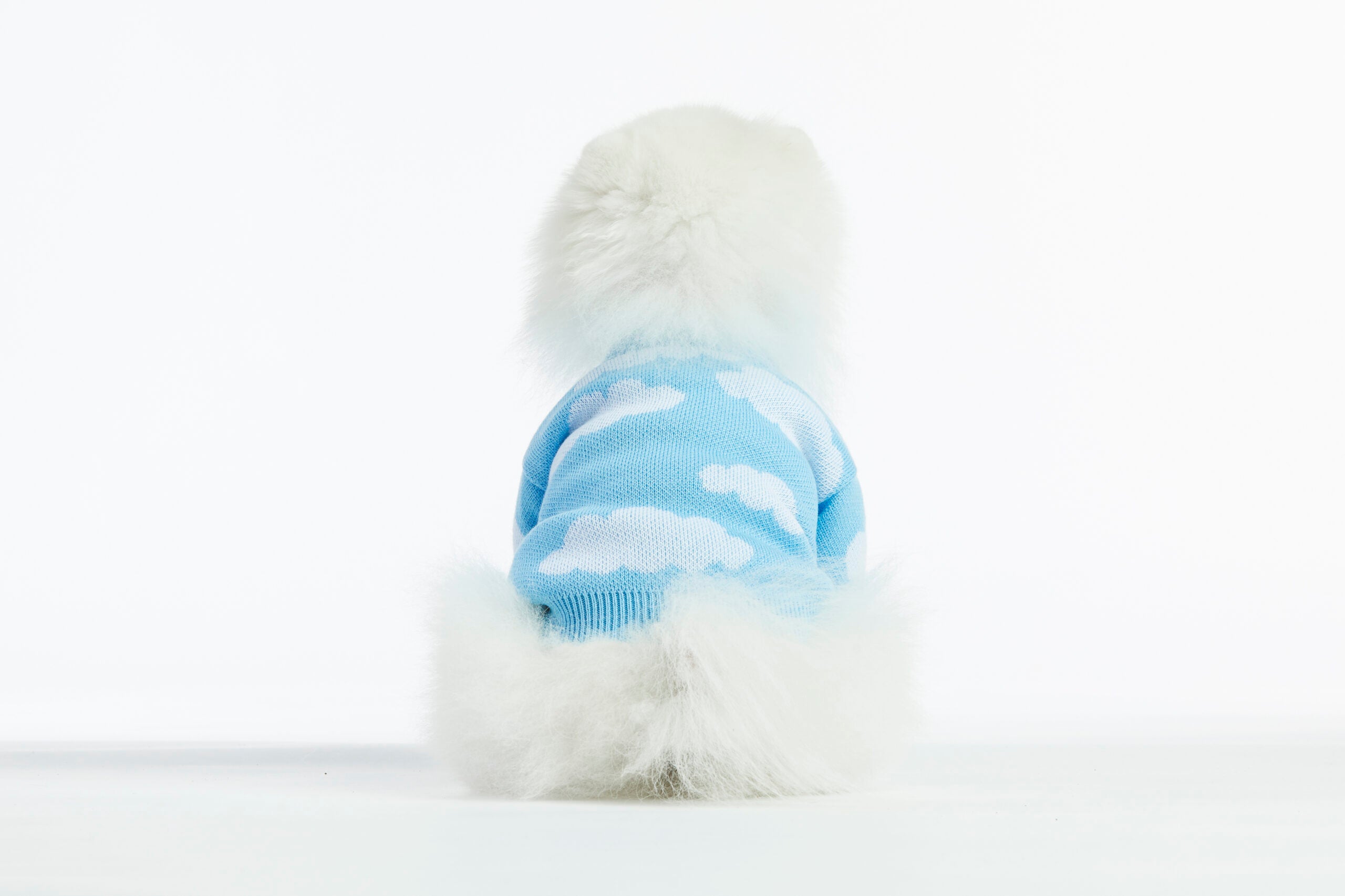 Clouds Dog Sweater