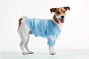 Clouds Dog Sweater