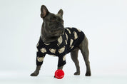 Black Teddy Dog Sweater