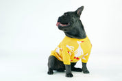 Yellow Goose Dog Sweater