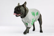 Bone Dino Dog Sweater