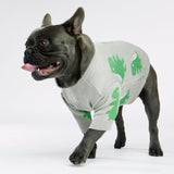Bone Dino Dog Sweater