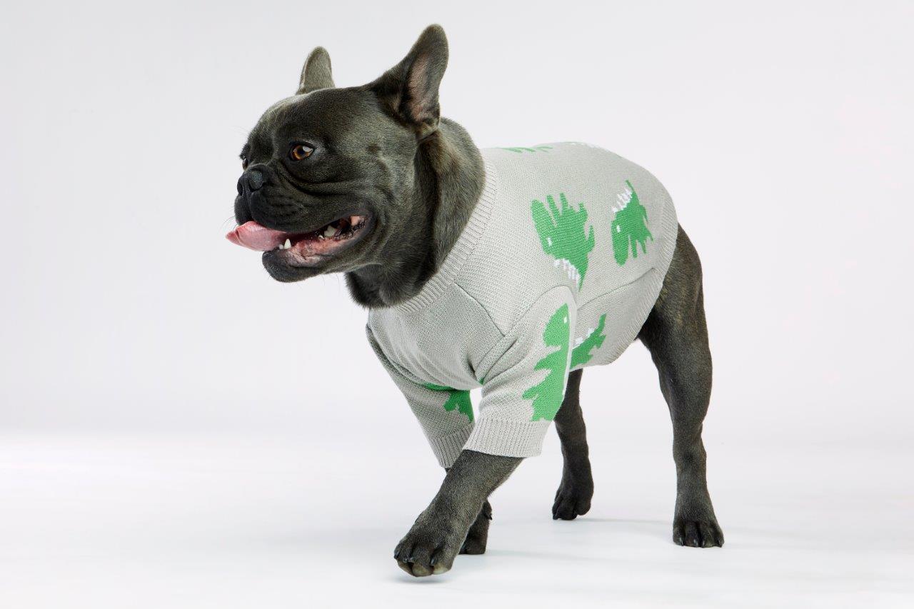 Bone Dino Dog Sweater