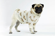 Cream Teddy Dog Sweater