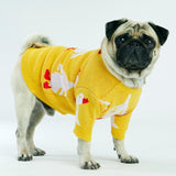 Yellow Goose Dog Sweater