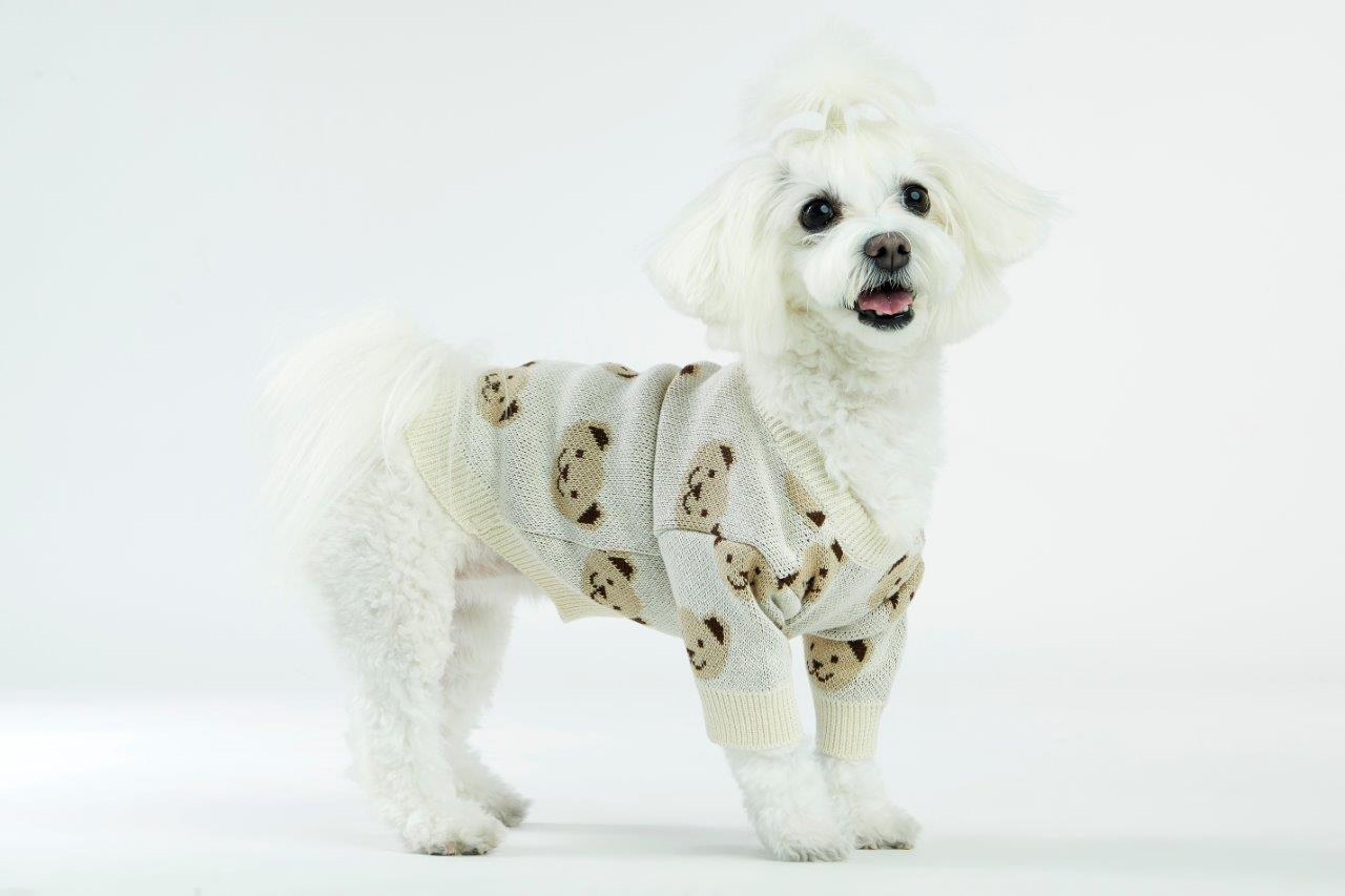 Cream Teddy Dog Sweater