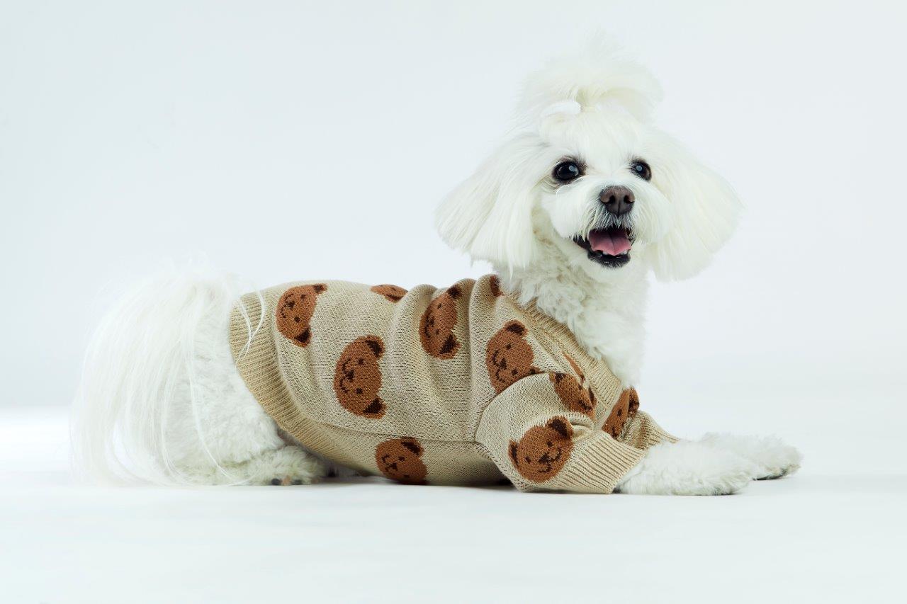 Toffee Teddy Dog Sweater