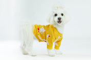 Yellow Goose Dog Sweater