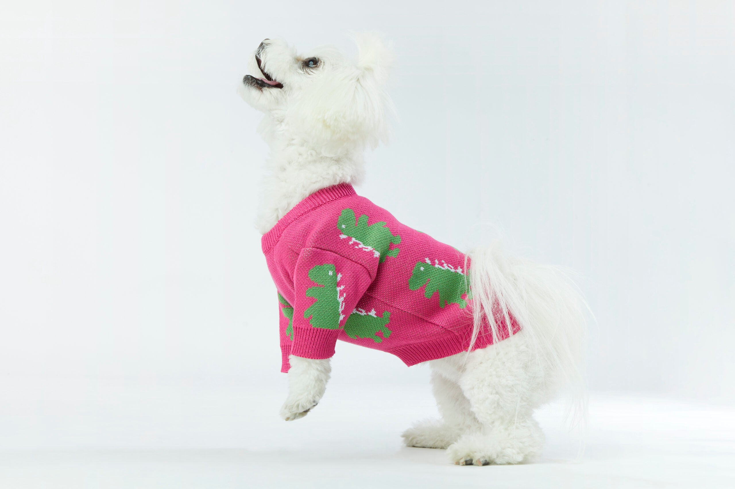 Pink Dino Dog Sweater