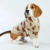 Toffee Teddy Dog Sweater