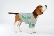 Bone Dino Dog Sweater