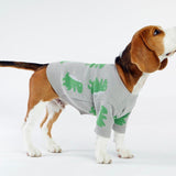Bone Dino Dog Sweater