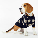 Black Teddy Dog Sweater