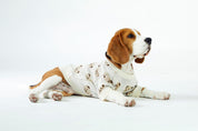 Cream Teddy Dog Sweater