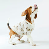 Cream Teddy Dog Sweater