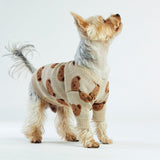 Toffee Teddy Dog Sweater