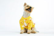 Yellow Goose Dog Sweater