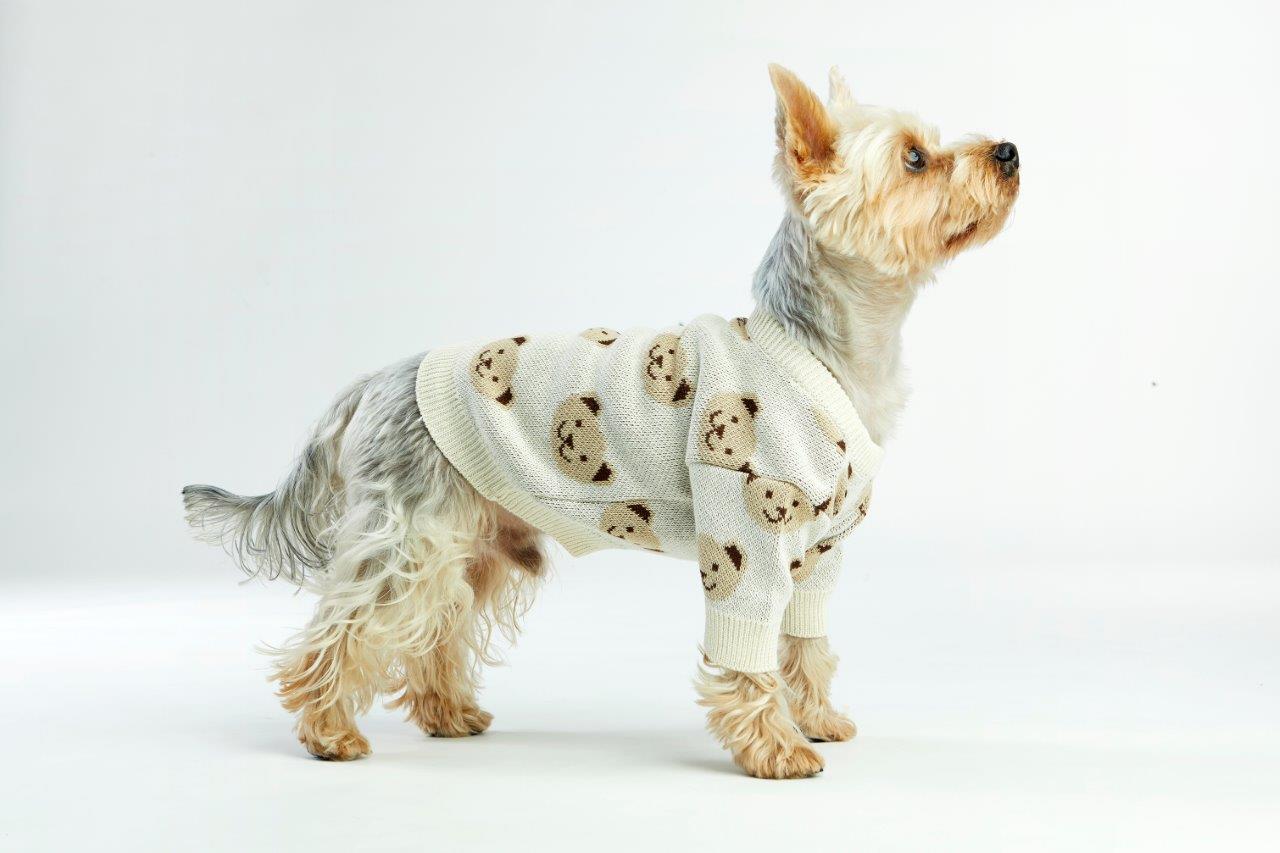 Cream Teddy Dog Sweater