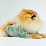Bone Dino Dog Sweater