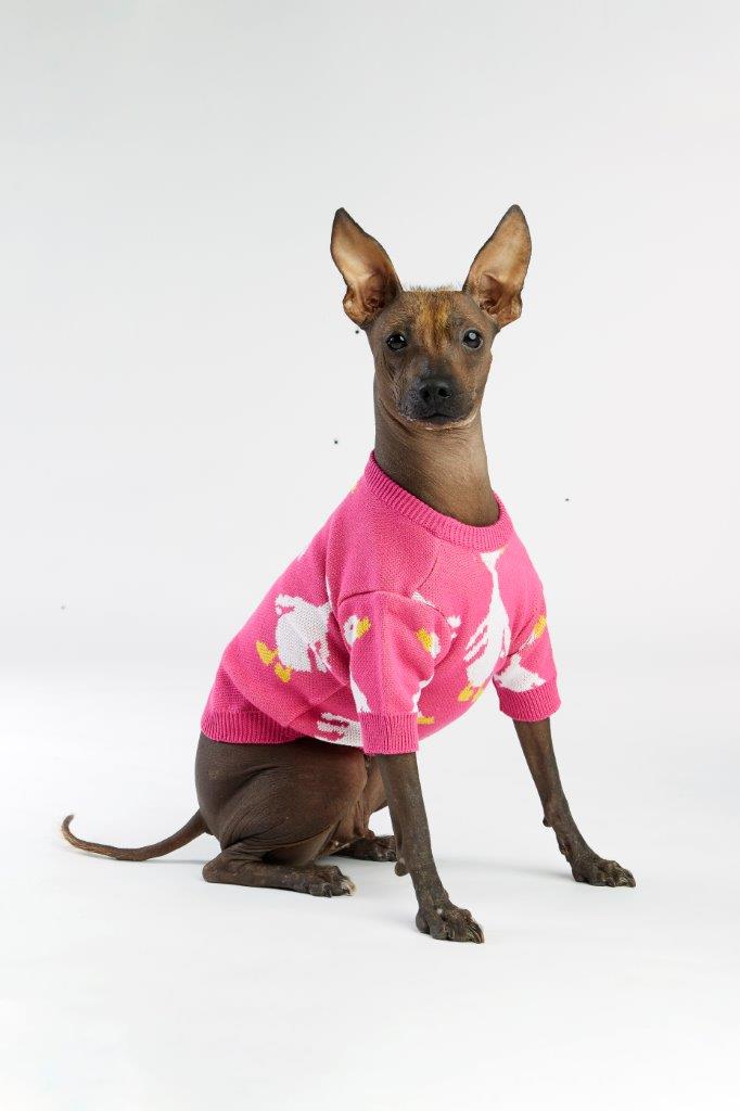 Pink Goose Dog Sweater