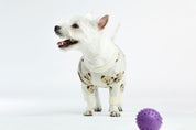 Cream Teddy Dog Sweater