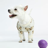 Cream Teddy Dog Sweater