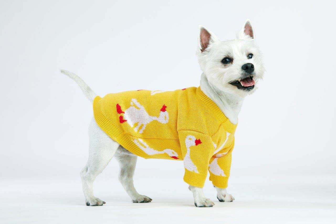 Yellow Goose Dog Sweater