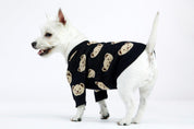 Black Teddy Dog Sweater